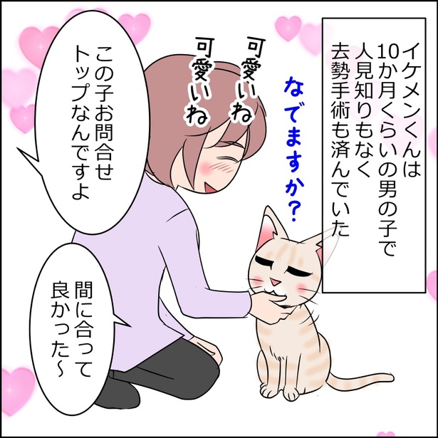 麦に一目ぼれして家に迎えようと決心した飼い主 8-3