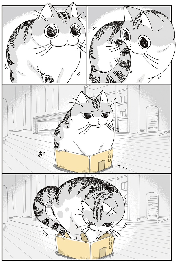 なんか…小さい…？