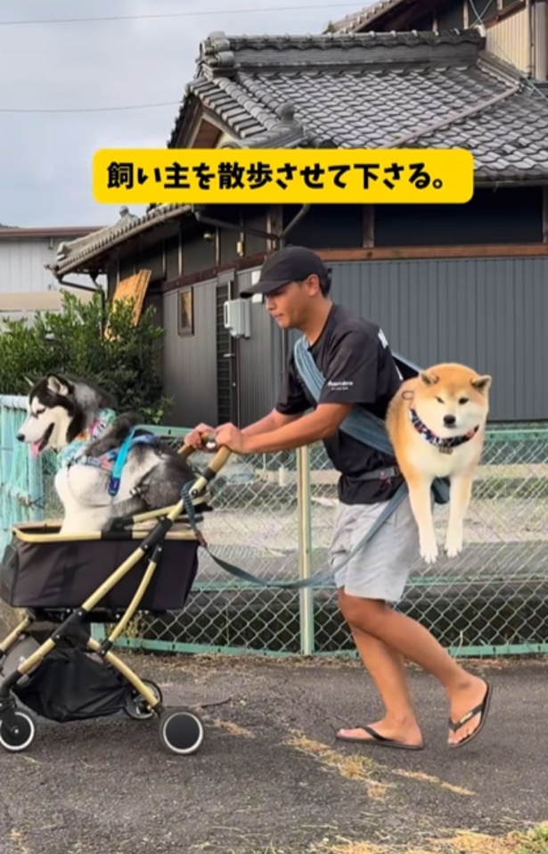 お散歩は抱っこスタイル（⇒次へ）