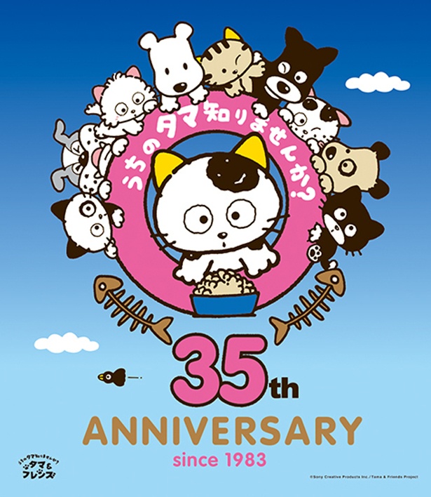 うちのタマ知りませんか 展が18年3月に開催決定 キャラwalker ウォーカープラス