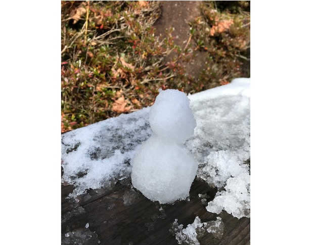 小さな雪だるまを作りました