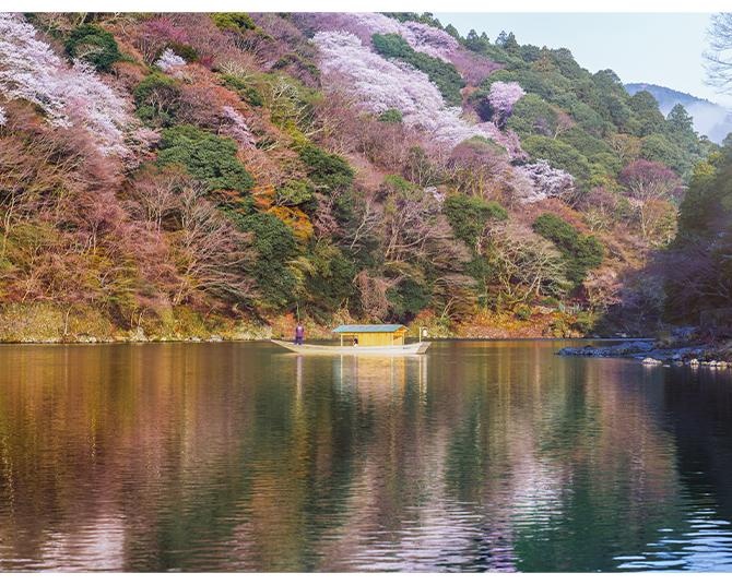 【星野リゾート】平安貴族が興じた奥嵐山で桜を愛でる。一日一組限定の滞在プログラム「奥嵐山の花見滞在」提供スタート