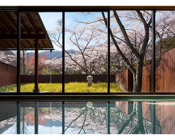 星野リゾートの温泉旅館「界 鬼怒川」にて、美しい桜と温泉に癒やされる「花見温泉滞在」開催。夜は春の会席と栃木の地酒のペアリングを楽しめる