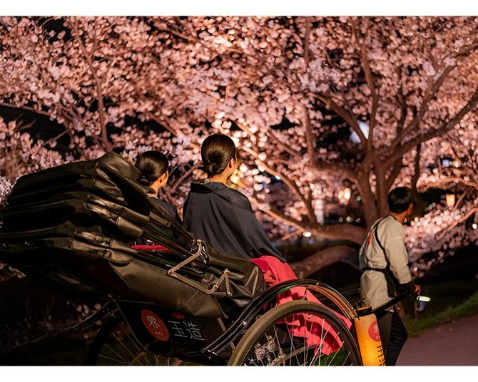 【星野リゾート】約400本の桜並木を愛でる「桜舞うたまゆら滞在」開催。新登場の「夜桜日本酒BAR」で桜名所を独り占め