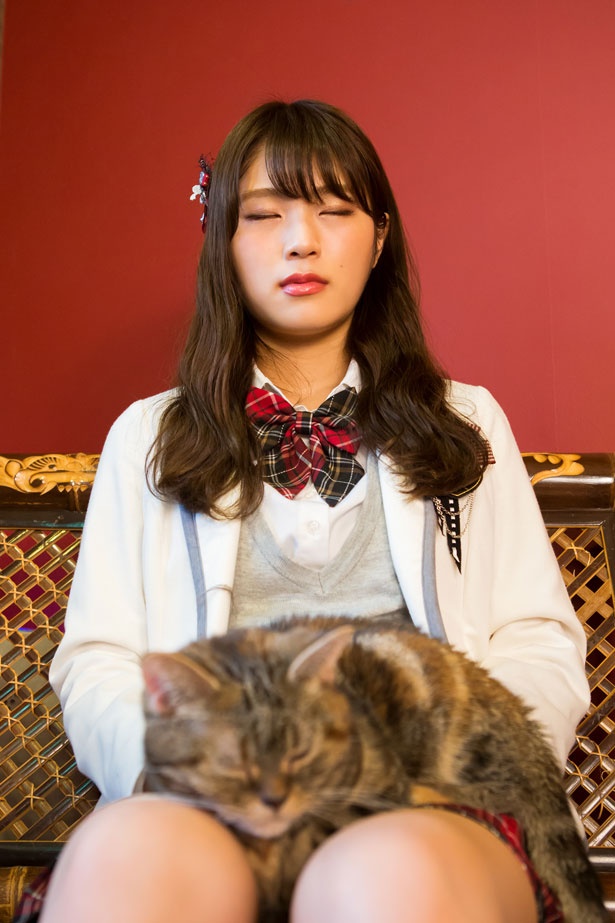 (なぎちゃん)「猫ちゃんが隣にいると眠くなるのを、渋谷家では“眠り病”って呼んでて、さっきもちょっと寝ちゃいました(笑)」/猫cafe ぐるぐる堂