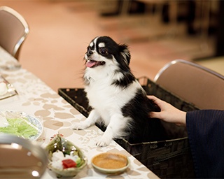 戌年なら愛犬の宿泊代が無料に！「ペット＆スパホテル那須ワン」の限定プラン