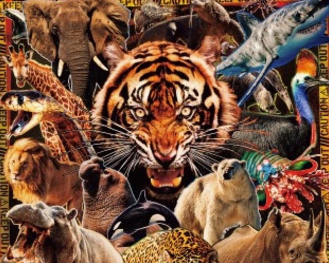 特別展『超危険生物展　科学で挑む生き物の本気』！巨大ワニから猛毒生物まで“本気”を科学で解明