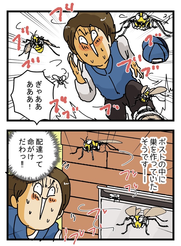 メール便がポストに入らなかった、まさかの理由(2)