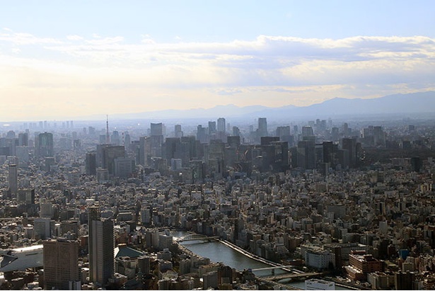 地上350mの展望台からの眺め。東京を大パノラマで一望できる