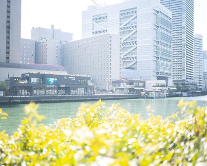 【大阪・中之島観光】レトロな東、モダンな西。再開発で生まれ変わった「西側」のスタイリッシュな美術館を巡る観光モデルコース