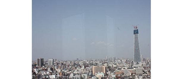 写真左端に写っているのが、アサヒビール本社。実はタワーとこんなに離れていたことに驚く
