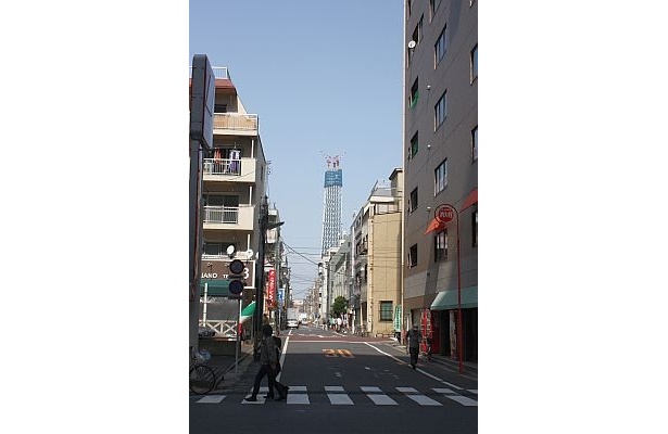 ホテル1階から見た東京スカイツリー