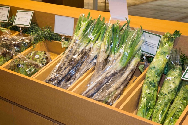 北海道の新鮮野菜のコーナーでは生産者の顔写真を表示して販売