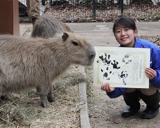 肉球でぺたんと調印！「カピバラの露天風呂協定」調印式が開催