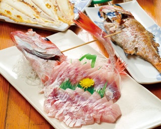 日本最大級の海鮮市場 新鮮な魚をその場で！
