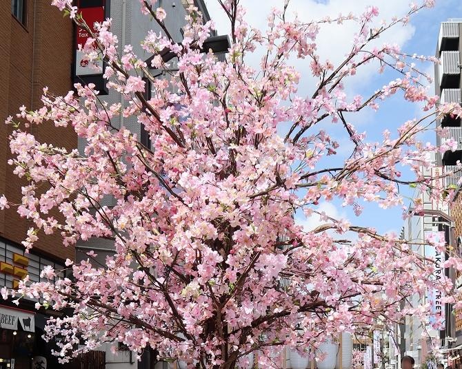 浅草に桜並木や花魁道中が出現「浅草六区 SAKURA STREET ー桜艶通りー」が開催中！喫煙ブースでJTの「EVO」新フレーバー先行体験も