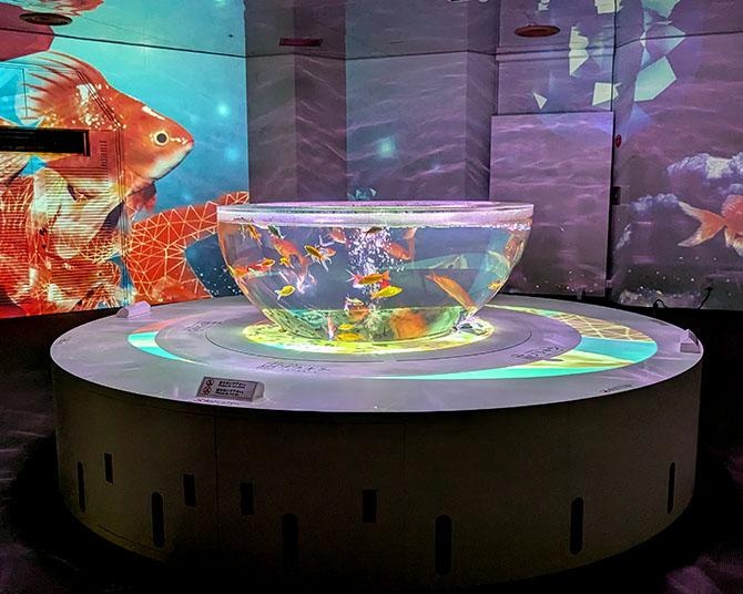 地上127メートルで楽しむ非日常！瀬戸内の絶景と金魚が織りなす天空アクアリウム体験「ソラキン」