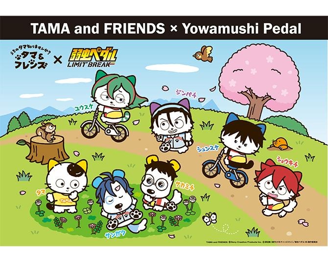 『タマ＆フレンズ』×『弱虫ペダル』コラボグッズがHMV対象店舗で発売中！特典ポストカードのプレゼントも