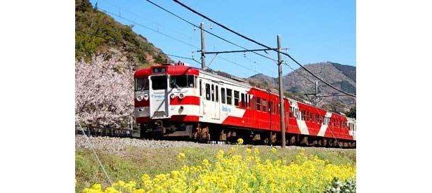 東と南伊豆への観光アクセスにはずせないリゾート列車