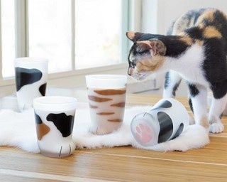 猫好き注目！猫の手みたいなグラスがヴィレヴァンオンラインに登場