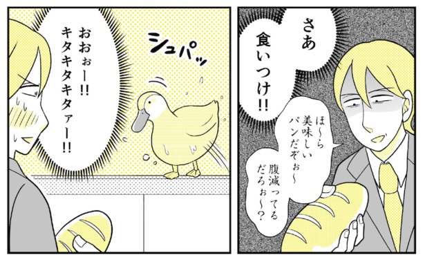 動物にモテるサラリーマンの受難(77)