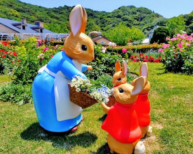 淡路島「ピーターラビット(TM) フラワーガーデン」完全ガイド！見どころ・コラボメニュー・スタンプラリーまで