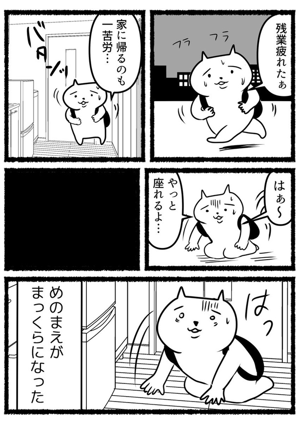 家に帰った瞬間、力尽きる残業ねこ。