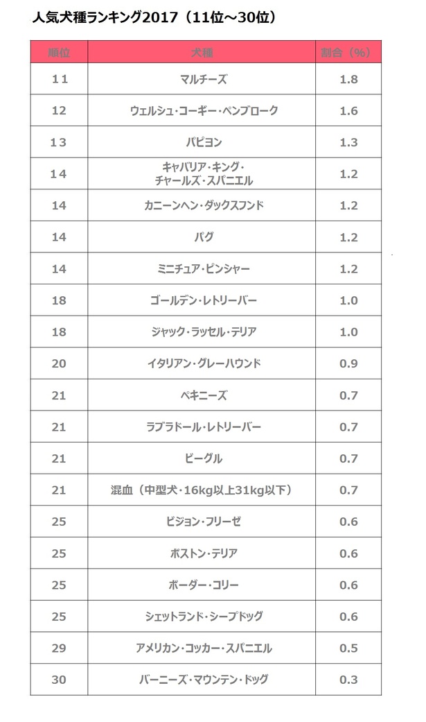 人気犬種 猫種ランキング17発表 1位はトイ プードル 混血猫 ウォーカープラス