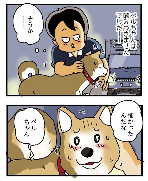 かみつきペルちゃんP06