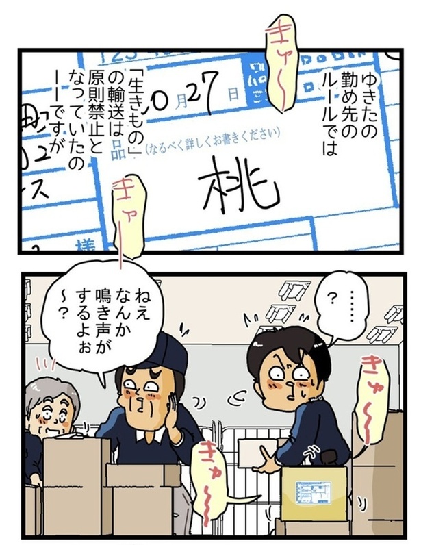 桃1