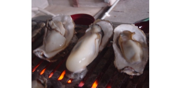 汁あふれる焼き牡蠣バイキング