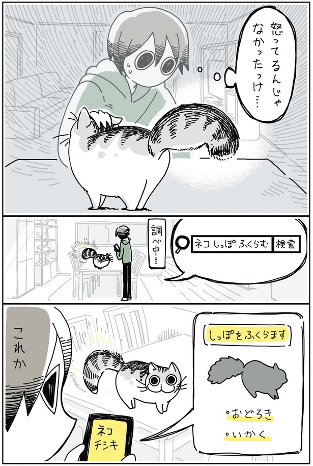 この状態ってたしか… （C）キュルZ／KADOKAWA