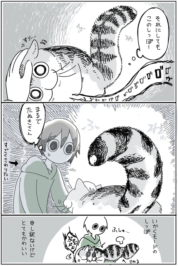 まるでたぬきさん （C）キュルZ／KADOKAWA