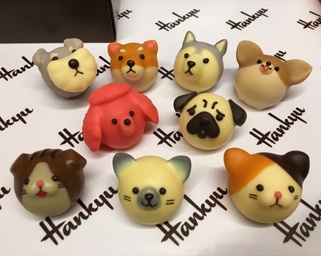 開幕まで3日！阪急うめだ本店の「バレンタインチョコレート博覧会」 夢あふれる「チョコのワンダーランド」なら家族でも楽しめる！