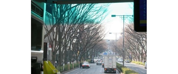 表参道を巡るはとバス