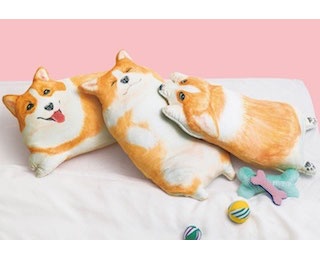 コーギーのおなかで眠る？おしりで眠る？「コーギーのおなかぽよぽよ枕カバー」が新登場