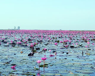 流行をサキドリ！タイの穴場絶景スポット3選