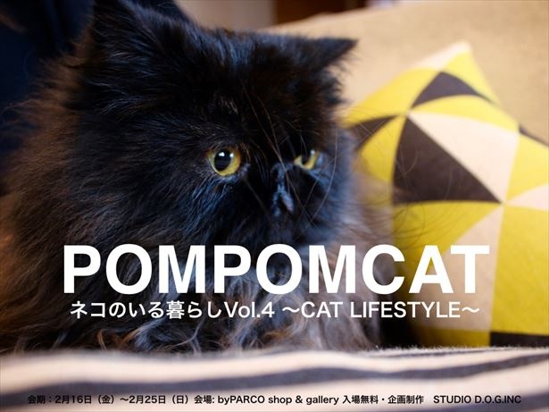 2月22日は猫の日 青山で ネコのいる暮らし展 Cat Lifestyle Vol 4 開催 ウォーカープラス