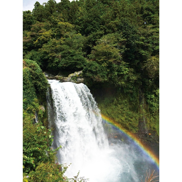 【写真を見る】ここも必見！白糸ノ滝の途中にある音止の滝。白糸ノ滝と共に「日本の滝百選」に選ばれている