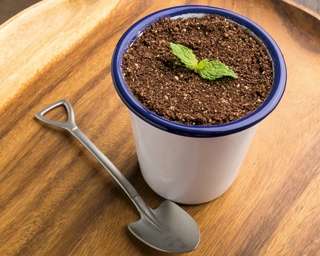 食べる鉢植え！「台湾甜商店」の盆栽パフェがスコップまでこだわりすぎ