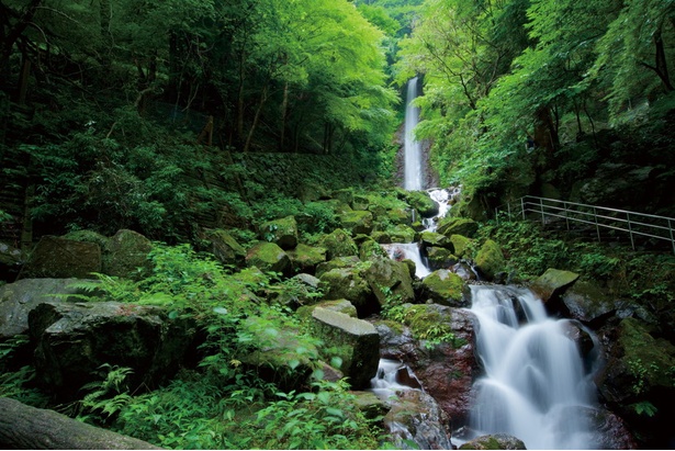 「日本の滝百選」に選定された 東海エリア屈指の名瀑を堪能/養老の滝