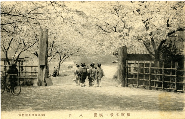 一般公開が始まった1906(明治39)年ごろのサクラの季節の正門前