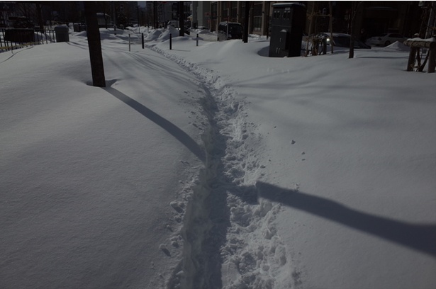 札幌市中心部でも冬場はこのような積雪状態に