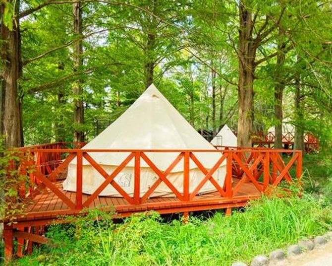 入園無料にリニューアル！「THE BOTANICAL RESORT 林音」で叶う、日本初“植物園に泊まる”という贅沢