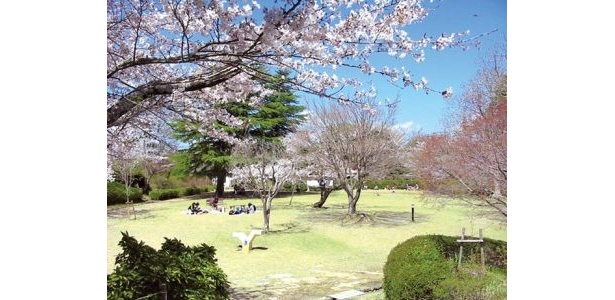 ベスト2：鳥羽山公園