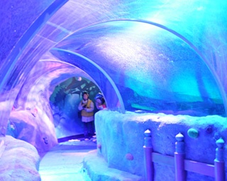 写真満載！「レゴランド(R)・ジャパン」の新名所、水族館「シーライフ名古屋」を大公開