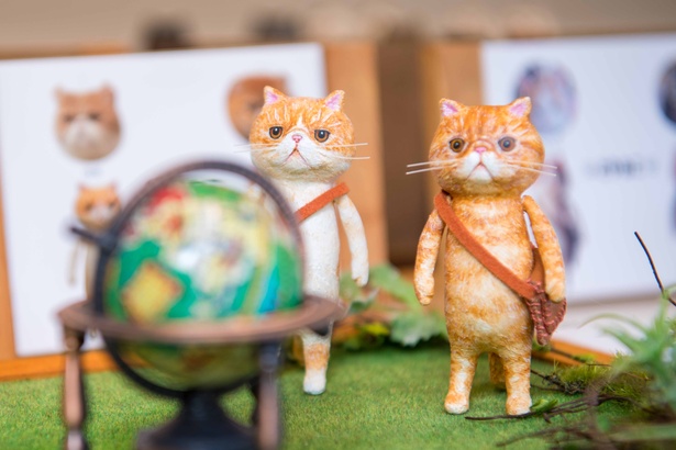 どやねこ展のネコたち