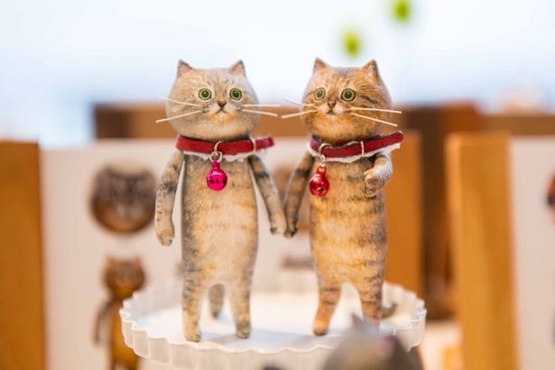 どやねこ展のネコたち