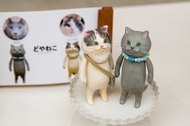 どやねこ展のネコたち