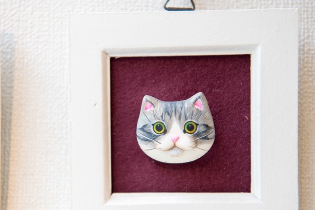 どやねこ展のネコたち